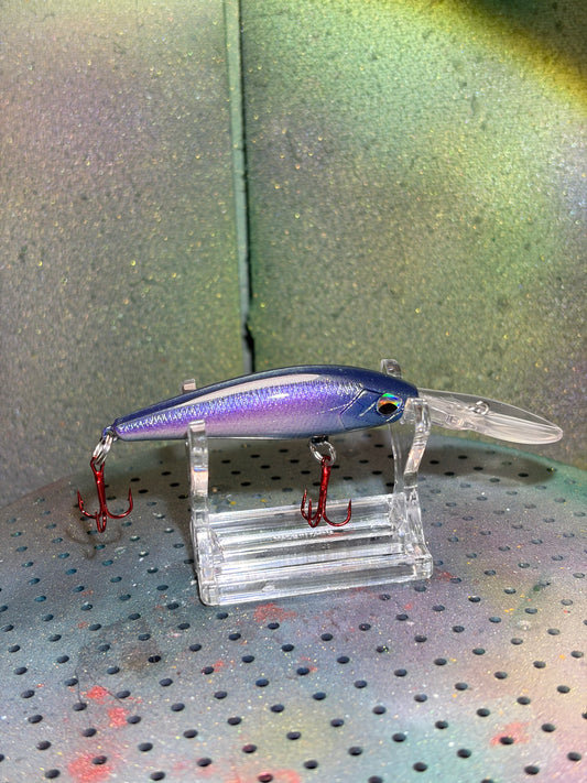 Purple Shiner