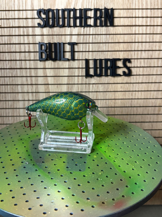 Green Snapper