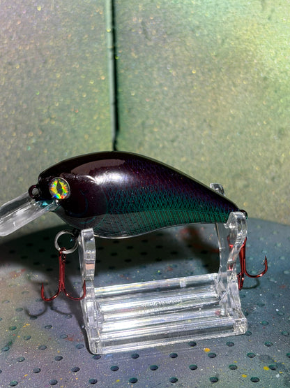 Midnight Teal