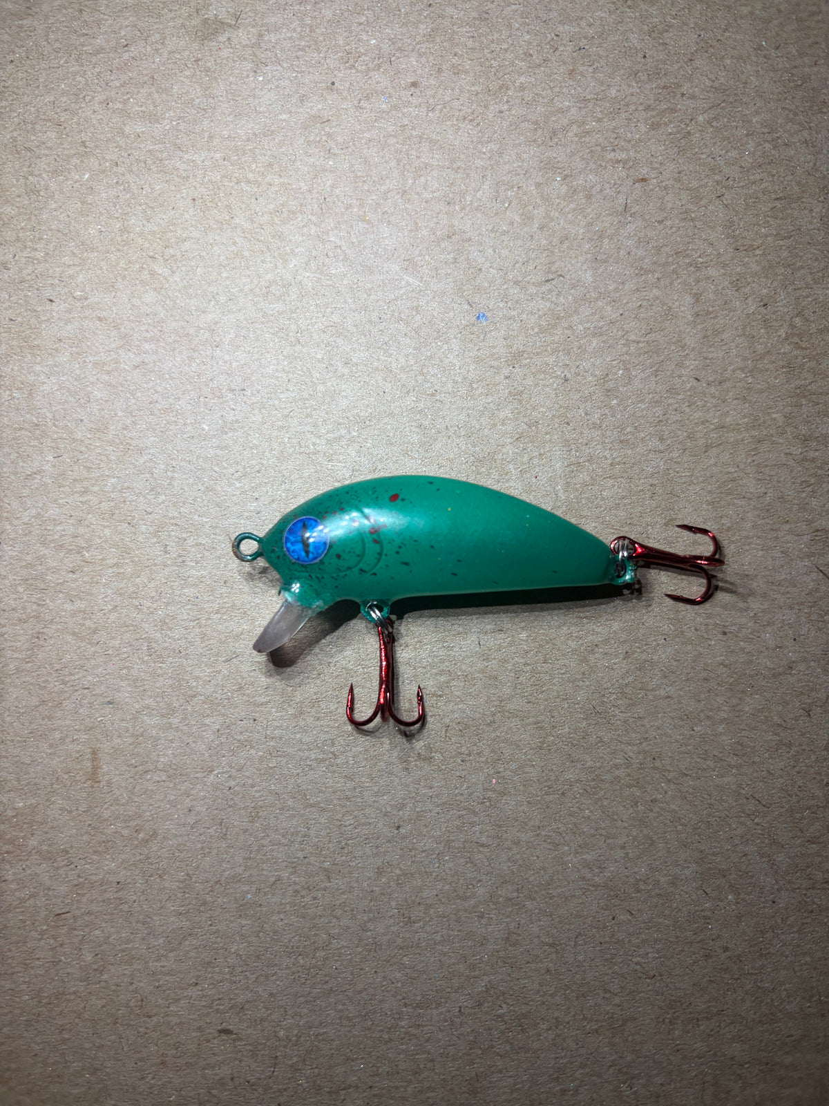 Bloody minnow