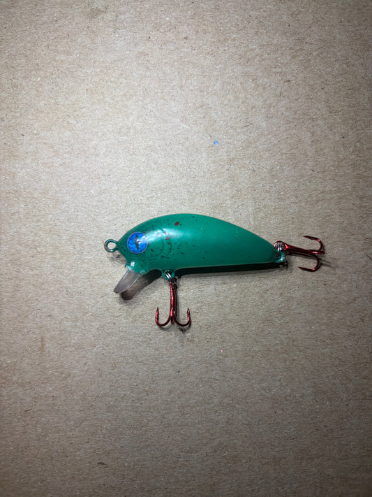 Bloody minnow