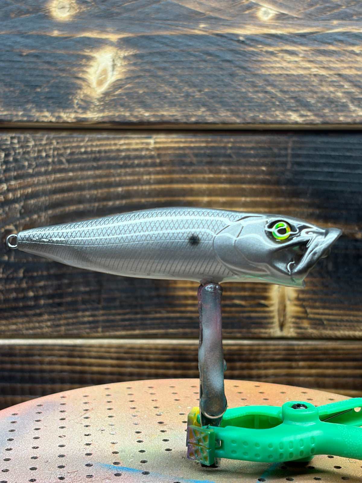 Silver shad popper